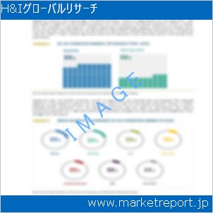 市場と産業調査レポートのイメージ